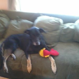 Meet your Posher, Cindy